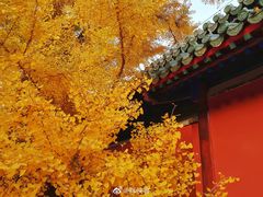 -大觉寺-停车场
