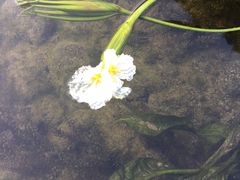 -五里店果蔬批发市场