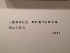 -猫的天空之城概念书店(苏州平江店)
