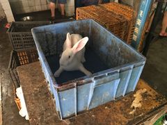 -温江公平红烧兔(总店)