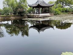 -无锡蠡湖国家湿地公园-蠡园