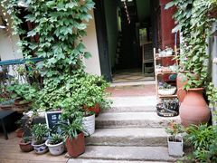 -猫色咖啡·猫咖