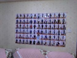 -维纳斯专业减肥