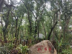 -西双版纳傣族园