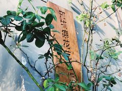 -知物癖(牛王庙店)
