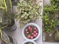 -万达广场(太原街店)