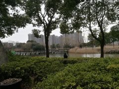 -SMP滑板公园