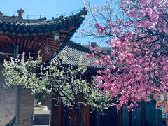 -西宁市东关清真大寺