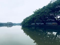 -江心屿景区