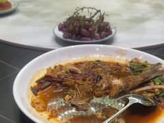 -瑞琳阿尔泰冷水鱼(康源财富中心店)