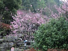 -桃花岭景区