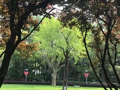 -徐家汇源景区-衡山公园