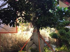 -万卉源鲜花店(百尚生活广场店)