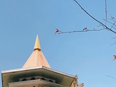 -顺峰山公园