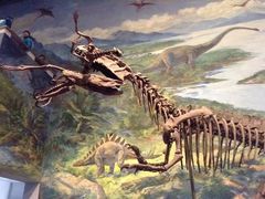 -自贡恐龙博物馆
