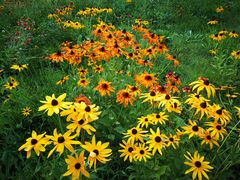 -永定河休闲森林公园