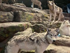 -武汉园博园(武汉自然博物馆)