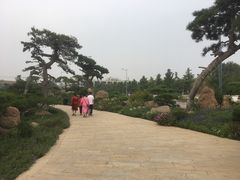 -罗红摄影艺术馆