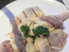 -千岛蚝高压锅生蚝·人参火锅(白云万达店)