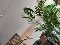 -百灵希尔顿逸林酒店大堂吧