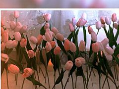 -怪咖·joker陈楠