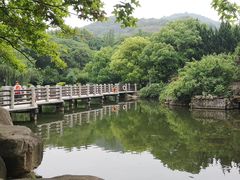 -白马涧龙池景区