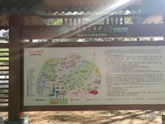 -广东茂名森林公园