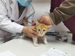 -宠颐生宠物医院·犬猫全科·皮肤科(商业街店)