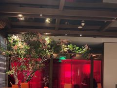 -星·South Beauty·俏江南(国贸店)