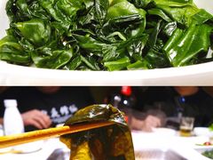 翡翠藻（裙带菜叶）-海底捞火锅鲜切牛肉主题店(长寿路店)