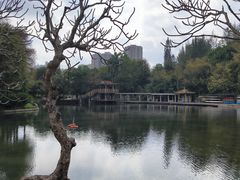 -晓港公园