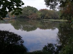 -西湖游船