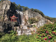 -金鸡山公园