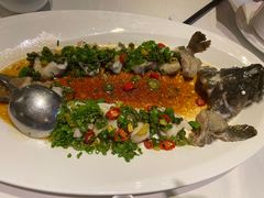 青花椒石斑鱼-翠府(翠湖北路店)