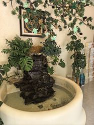 点击看大图 -卡尔诗·科技美肤连锁