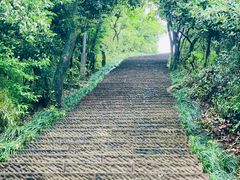 -杭州半山国家森林公园