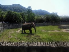 -西安秦岭野生动物园