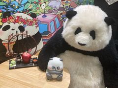 -轩客会(熊猫书店)