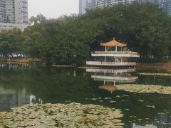 -荔枝公园(福田区)