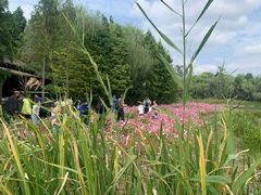 -溱湖国家湿地公园