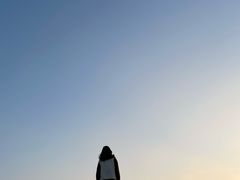 -武汉紫薇都市田园