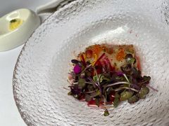 黄尾鲥鱼薄切-蝶舍·MAISON PAPILLON