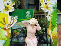 -芦仙山景区-飞越丛林探险乐园