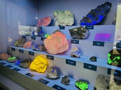 -湖南省地质博物馆