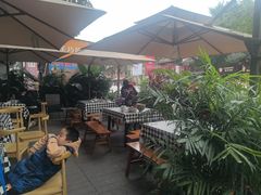 -老地方猫儿面(磁器口店)