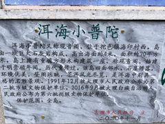 -小普陀