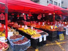 -红星农博物流中心