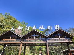 -普洱太阳河森林公园