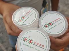 -洪馨椰子