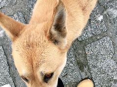 -水峪民俗村